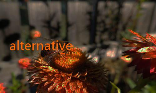 alternative nowgoal-JalAlive 21: Menemukan Ritme Hidup yang Menghidupkan Kembali Hari