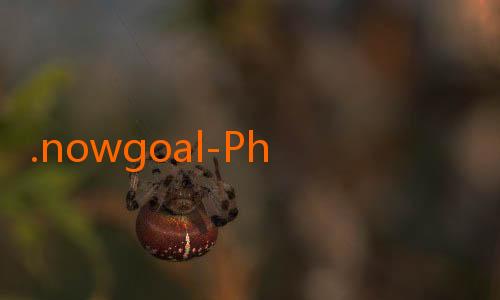 .nowgoal-Phoenix Suns Andalkan Trio Durant, Beal, dan Booker: Membangun Dominasi di NBA Musim Ini