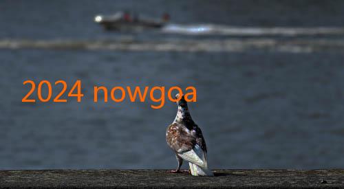 2024 nowgoal.-Mengejar Impian di Tengah GEMILANGnya Dunia Sepak Bola dengan Nowgoal