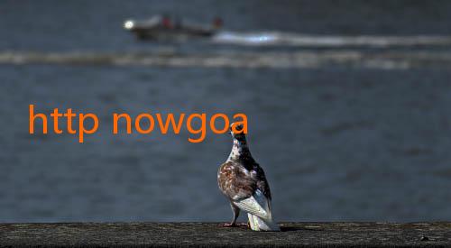 http nowgoal-Mengejar Impian di Tengah GEMILANGnya Dunia Sepak Bola dengan Nowgoal