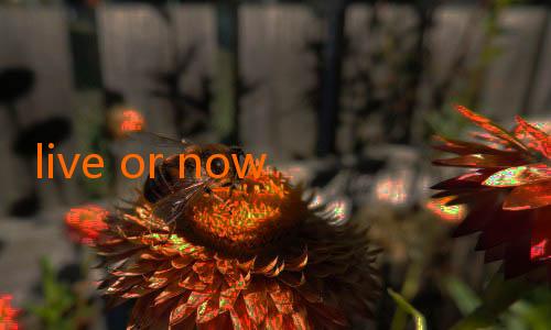 live or nowgoal-Persib Ingin Lanjutkan Tren Positif Lawan Borneo FC