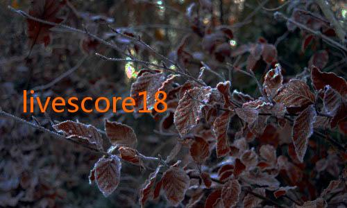 livescore18 nowgoal-Mengenal Lebih Dekat: The Fascinating Dunia NowGoal 671 dan Dampaknya di Indonesia