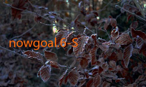 nowgoal.6-Sekilas Tentang Nowgoal 5: Mengoptimalkan Pengalaman Pertandingan Olahraga Secara Online