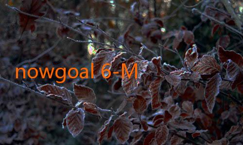 nowgoal 6-Mengenal Lebih Dalam Tentang Mobile NowGoal: Solusi Lengkap Untuk Pecinta Bola Digital