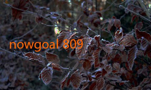 nowgoal 809-Kenali Keunggulan Nowgoal 6in1: Solusi Terbaik Untuk Pengalaman Keseharian Anda