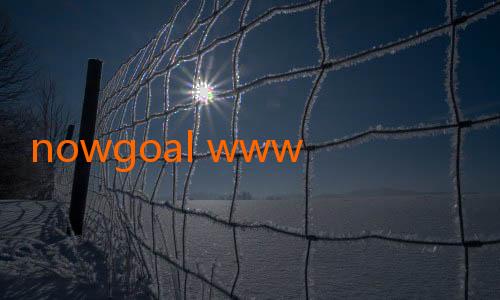 nowgoal www-Jalalive mu: Menemukan Jalan Hidupmu dalam Sentuhan Kecil Sehari-hari