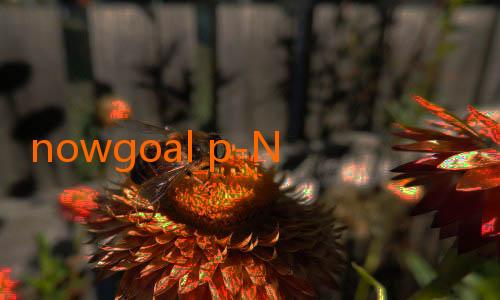 nowgoal p-Nuggets Targetkan Clean Sheet Minggu Ini: Mengincar Kemenangan Sempurna