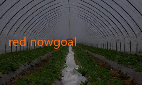 red nowgoal-Menyelami Dunia Prediksi dan Live Score Sepak Bola Melalui Goaloo Nowgoal Mobi yang Memikat